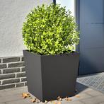 vidaXL Plantenbakken 2 st 50x50x50 cm staal zwart, Tuin en Terras, Bloembakken en Plantenbakken, Verzenden, Nieuw, Metaal