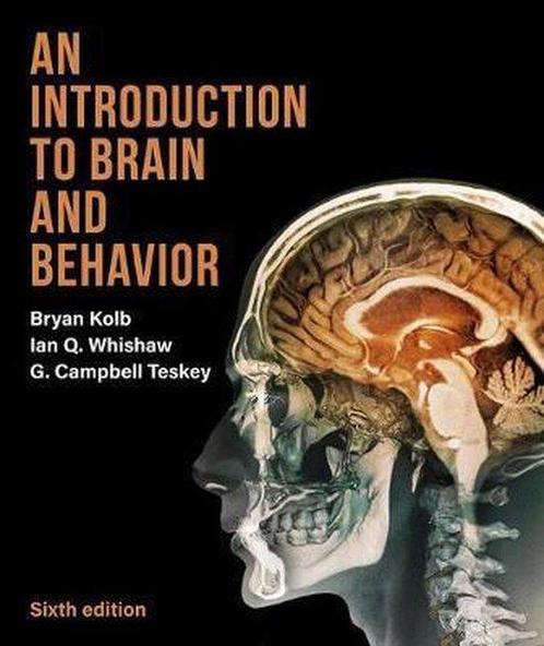 An Introduction to Brain and Behavior 9781319243562, Boeken, Taal | Engels, Gelezen, Verzenden