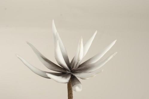Cactus flower licht grijs 16cm. 10 stuks foam, Huis en Inrichting, Woonaccessoires | Kunstplanten en Kunstbloemen, Nieuw, Ophalen of Verzenden
