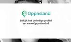 Melissa zoekt een oppas in Nieuw-Amsterdam voor 2 kinderen., Boeken, Nieuw