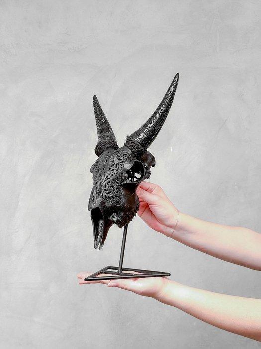 Geen minimumprijs - Authentiek zwart geitenhoofd met, Antiek en Kunst, Kunst | Designobjecten