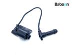 Bobine Ducati Scrambler 1100 2018-2020 Rear (38040101C), Verzenden, Gebruikt