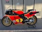 Suzuki - RGB 500 GP - Barry Sheene Tribute - 1979