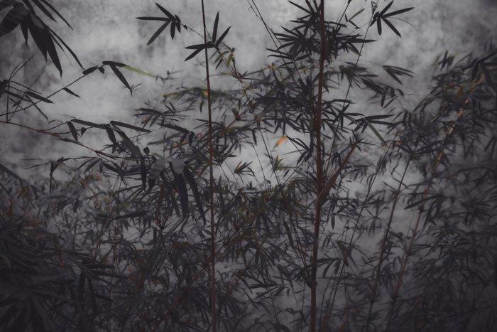 Viet Ha Tran - The power of simplicity II, Antiek en Kunst, Kunst | Designobjecten