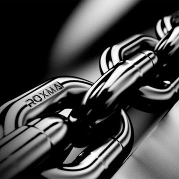 Roxma® RVS Ankerketting Duplex 318 beschikbaar voor biedingen