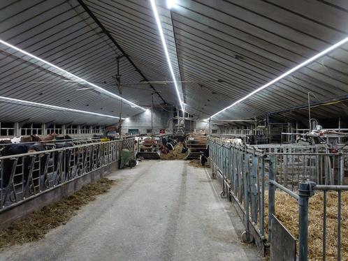 HEAVY DUTY INDUSTRIE LED LICHTLIJN 50 meter 550W  94.000 Lum, Zakelijke goederen, Overige Zakelijke goederen, Verzenden