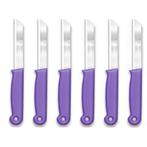 Solingen Kartelmes – Tomatenmes met Kartel – RVS – 18,, Ophalen of Verzenden, Nieuw, Rvs of Chroom, Bestekset