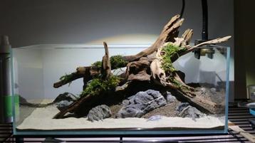 Fine sinking wood 15-25cm - Aquarium decoratie mangrove hout beschikbaar voor biedingen