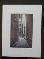 Henri Cartier-Bresson (1908–2004) - Street