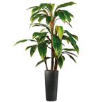Cordyline kunstplant, H145cm, Huis en Inrichting, Kamerplanten, Ophalen of Verzenden