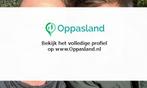 Thijs zoekt een oppas in Groningen voor 1 kind op vrijdag., Boeken, Nieuw
