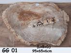 XXL versteend hout tafelblad | versteend hout schijf | rond