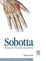 Sobotta Atlas of Human Anatomy Package 15th Ed 9780702052507, Boeken, Wetenschap, Zo goed als nieuw