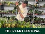 DE ALLERLEUKSTE PLANTENMARKT VAN EUROPA (SPECIALE ACTIE), Huis en Inrichting, Kamerplanten