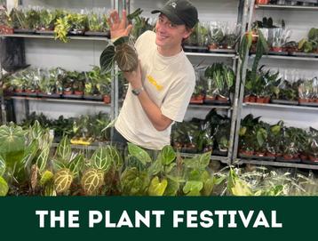 DE ALLERLEUKSTE PLANTENMARKT VAN EUROPA (SPECIALE ACTIE) beschikbaar voor biedingen