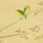 Cherry Blossoms and Japanese White-eyes with Original Box