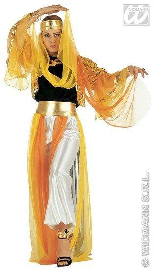 Geklede Harem danseres luxe, Kleding | Dames, Carnavalskleding en Feestkleding, Nieuw, Ophalen of Verzenden