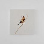 Matthieu van Riel - Putter op een tak, Antiek en Kunst