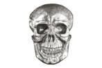 Exclusief wandsculptuur SKULL XXL 40cm zilveren decoratieve, Nieuw, Ophalen of Verzenden