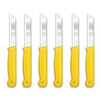 Solingen Kartelmes – Tomatenmes met Kartel – RVS – 18,, Ophalen of Verzenden, Nieuw, Rvs of Chroom, Bestekset