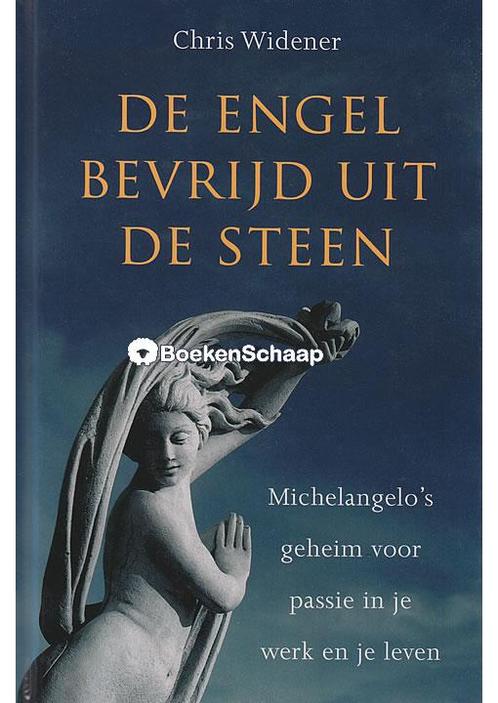 De engel bevrijd uit de steen (NIEUW BOEK) Chris Widener, Boeken, Esoterie en Spiritualiteit, Verzenden