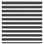 vidaXL Zebra rolgordijn 150x100 cm stofbreedte 145,9 cm, Verzenden, Nieuw, Zwart