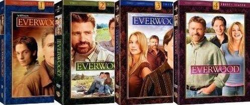 Everwood - Complete Serie (NL), Cd's en Dvd's, Dvd's | Tv en Series, Verzenden