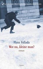 9789059364943 Wat nu, kleine man? | Tweedehands, Verzenden, Zo goed als nieuw, Hans Fallada