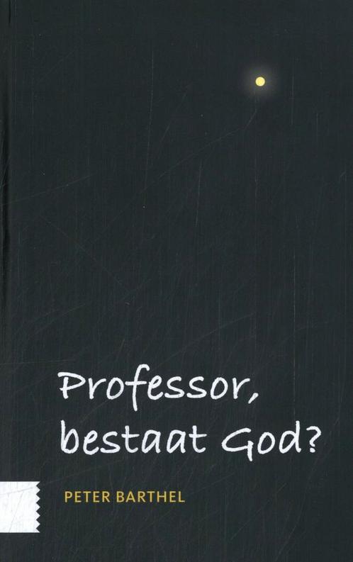 Professor, bestaat God? 9789464562064 Peter Barthel, Boeken, Godsdienst en Theologie, Zo goed als nieuw, Verzenden