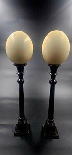 Struisvogel Ei - struthio camelus ei Ostrich egg - 540 mm -, Nieuw