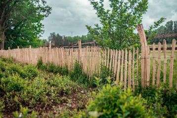 Ambachtelijke Robinia houten SCHAPENHEK 80cm -5m Lang beschikbaar voor biedingen