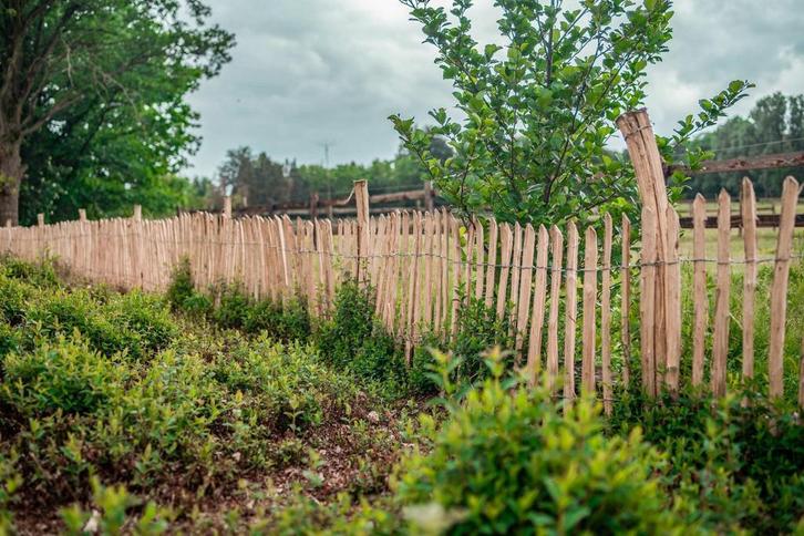 Ambachtelijke Robinia houten SCHAPENHEK 80cm -5m Lang, Tuin en Terras, Tuinhekken en Hekwerk, Nieuw, Met poort, Hout, Ophalen of Verzenden