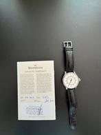 Meistersinger - Perigraph - AM1001 - Heren - 2009, Sieraden, Tassen en Uiterlijk, Horloges | Heren, Nieuw