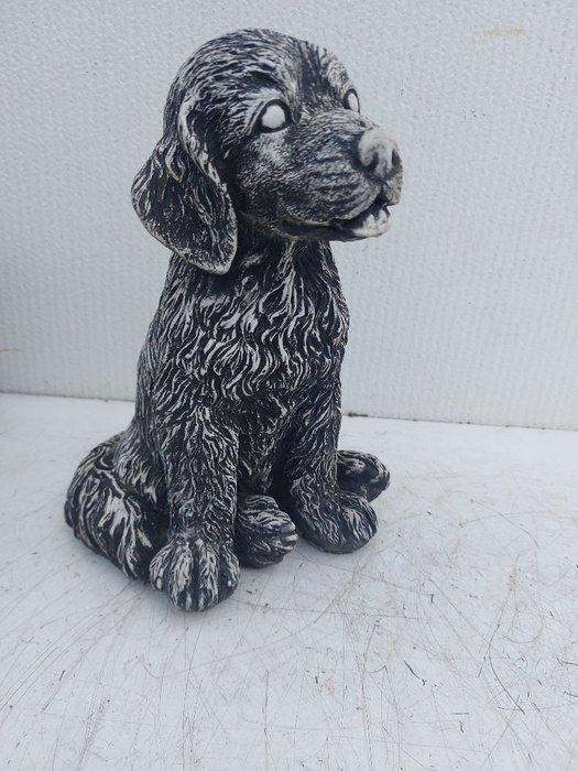 Beeld, nice pub of a labrador - 26 cm - castone, Antiek en Kunst, Curiosa en Brocante