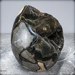 Mooie natuurlijke septarische geode Met calcietkristallen-