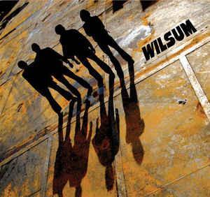 cd digi - Wilsum - Wilsum, Cd's en Dvd's, Cd's | Rock, Zo goed als nieuw, Verzenden