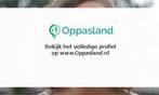 Ik ben Natasha, 21 jaar oud en ik zoek oppaswerk in Groni...