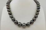 Halsketting 11x14mm Tahitiaanse parels, Nieuw