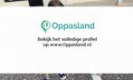 Lianne zoekt een oppas in Apeldoorn voor 2 kinderen op vr...