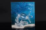 Figuur - Swarovski Crystal - Wonders of the Sea Eternity