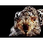 Evershine diamond painting voor volwassenen luipaard TA4-54, Nieuw, Ophalen of Verzenden