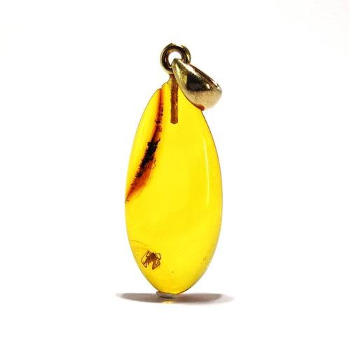 RARE fossiele spin in Baltisch amber – ovale hanger – zilver, Verzamelen, Dierenverzamelingen