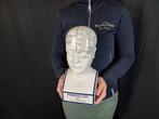 Beeld, Phrenology Head 28.5cm - 28.5 cm - Porselein, Antiek en Kunst