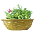 Walnoot plantenbak, Tuin en Terras, Tuinbeelden, Verzenden, Nieuw