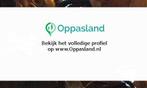 Ik ben Marvyen, 19 jaar oud en ik zoek oppaswerk in Zoete...