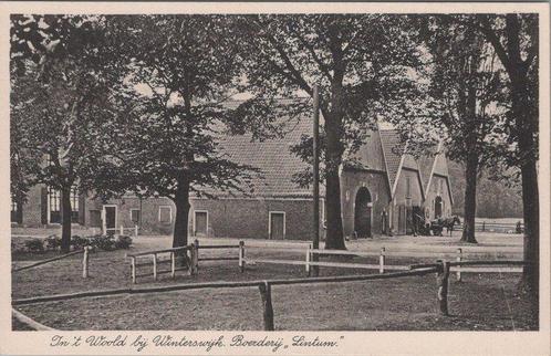 WINTERSWIJK - In t Woold bij Winterswijk. Boerderij Lintum, Verzamelen, Ansichtkaarten | Nederland, Verzenden