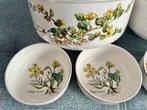 Villeroy & Boch - Kom (6) - Botanica - Porselein, Antiek en Kunst