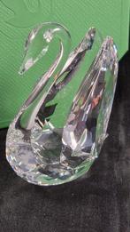 Swarovski - Beeldje - Signum Swan - Medium - 5613255 -, Antiek en Kunst, Curiosa en Brocante