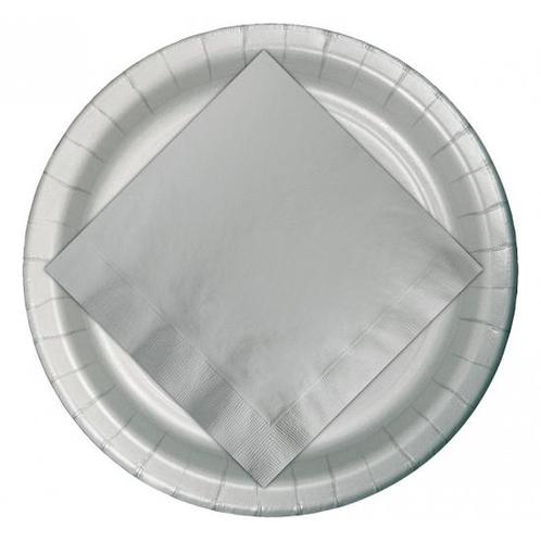 24x Zilveren wegwerp bordjes van karton 23 cm - Bordjes, Hobby en Vrije tijd, Feestartikelen, Verzenden