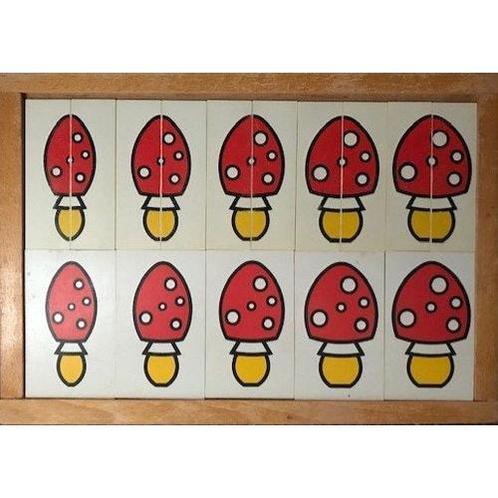Van dun naar dik (paddenstoelen), Boeken, Schoolboeken, Nieuw, Verzenden